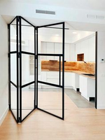 Portes coulissantes pliantes en acier et verre modernes - Portes pliantes à double vitrage à rupture de pont thermique pour hôtels et commerces