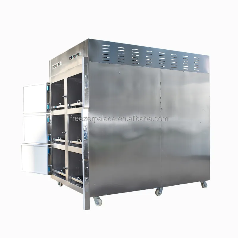 Sysmedicinal geladeira corpo funeral, venda quente equipamentos de morgue 6 unidades 2020