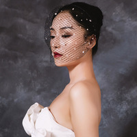 Voile de mariée sexy noir et blanc pour femme, avec strass brillants, en maille, coiffe de mariage, voile cage à oiseaux, bandeaux