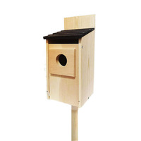 Maison de cage à oiseaux en bois bourdonnante kits de bricolage avec caméra maison de mangeoire à oiseaux