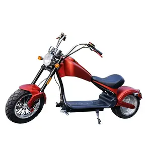 EEC COC Three Wheel Moped Electric Bike OEM GPS APP Sharing With IOT With Sidecar