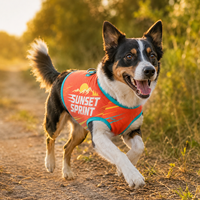 Chaleco Deportivo Transpirable para Perros, Personalizado, con Anillo en D, Malla que Absorbe la Humedad, para Correr, Caminar y Entrenar