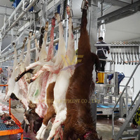 Máquina Automática para el Sacrificio de Vacas con Garantía de 3 Años, Equipo para Mataderos de Ganado, Procesamiento de Carcasas