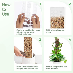 แถบม้วนโปร่งใส6ชิ้นเสาค้ำต้นไม้พลาสติกสำหรับปีนต้นไม้ยืนในร่มเสามอสกลางแจ้งสำหรับพืช - Product Image 2