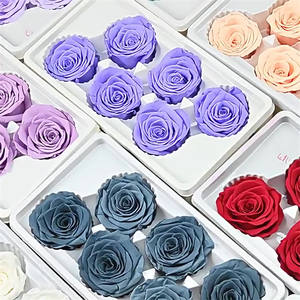 Vente en gros de têtes de roses éternelles naturelles de 5 à 6 cm, roses conservées colorées et bon marché pour mariage, Saint-Valentin - Product Image 6