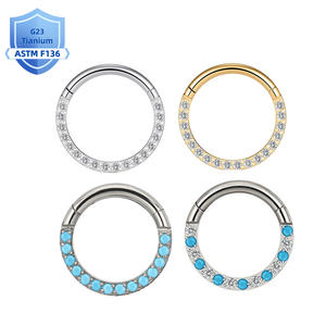 Clover Jewelry G23 Titanium CZ Hinged Segment Rings Cartilage Clicker Nose Ring Piercing Jewelry - Product Image 1