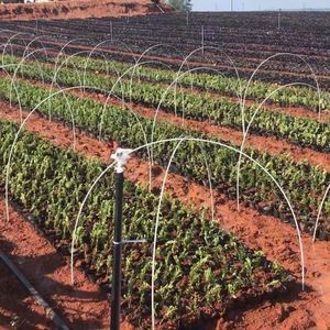 Varillas de Fibra de Vidrio Resistentes a los Rayos UV para Invernaderos, Estacas de FRP, Postes para Plantas de FRP, Uso Agrícola con Servicio de Corte Personalizado - Product Image 3