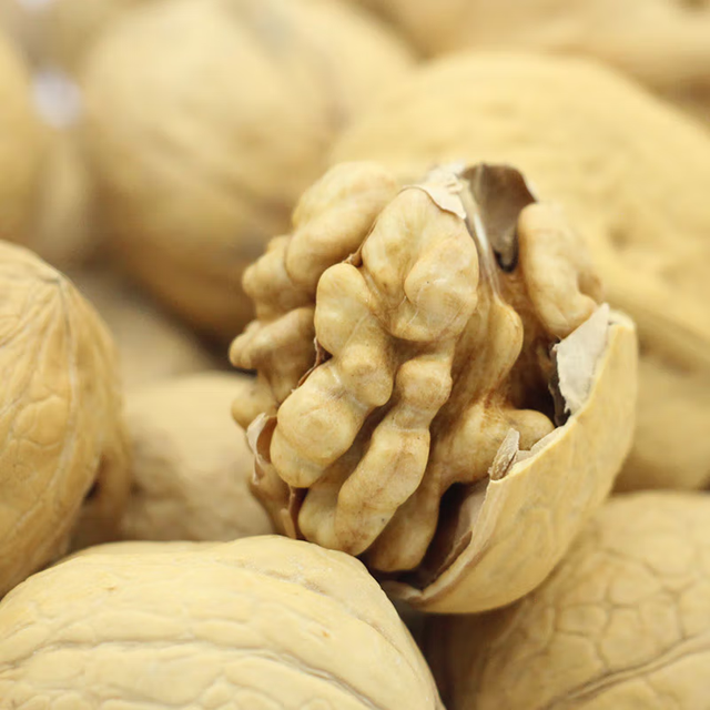 Wholesale Dry Chinese Walnuts WIth Original And Salty Flavour