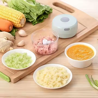 Elektrische mini-knoflookhakker Food Grade USB-opladen 250 ml draagbare multifunctionele groentesnijder voor thuiskeuken Groothandel