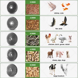 Animal 260 modelo Rabbit <span class=keywords><strong>Pellets</strong></span> Maker Pill Make usado Ganado Feed Mill <span class=keywords><strong>Palet</strong></span> 180 Pellet Machine para Ghana - Product Image 6