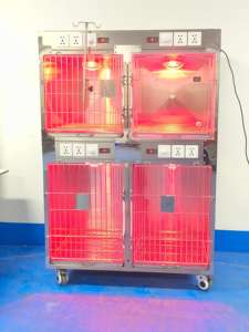 Cage et <span class=keywords><strong>Caisse</strong></span> <span class=keywords><strong>pour</strong></span> Animaux en Acier Inoxydable, Simple, Classique et Respirante, <span class=keywords><strong>pour</strong></span> Animaux de Taille Moyenne, Utilisation en Hôpital Vétérinaire - Product Image 3