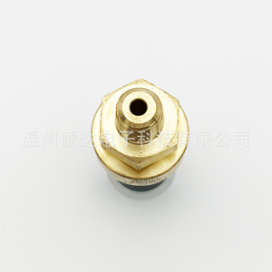 Capteur de pression 100CP2-53, jauge 0-60 bar, installation filetée - Product Image 3