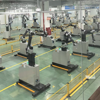 Robot Colaborativo Neumático de Alta Velocidad para Paletización con PLC para Automatización de Almacenes de Cajas de Embalaje de Vidrio