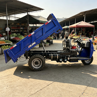 Triciclos Motorizados de Carga de Tres Ruedas de Alta Calidad, de Gasolina o Diésel, de Gran Potencia, con Carrocería Abierta, para Uso Agrícola