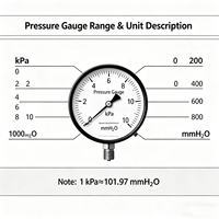 4'' Capsule Pressure Gauge 0-1kPa Bottom Mount Chrome Plated Case Micro Low Pressure Meter for Natural Gas Air Pipeline OEM ODM