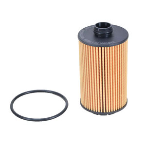 מסנן שמן gwaps חדש מסנן שמן 1017110xez01 עבור טנק 500 3.0t & poker גדול 3.0t 2022-2023 - Product Image 1