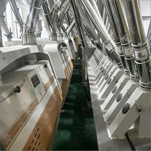 Moulin à farine de blé 100 TPD : Faible investissement, rendement élevé pour les projets de démarrage d'entreprises agroalimentaires, approvisionnement en gros - Product Image 2