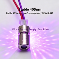 Module de diode laser violette 405 nm 5 mW à prix d'usine CE RoHS pour assemblage de pointeur laser, lumière bleue-violette stable, garantie 1 an