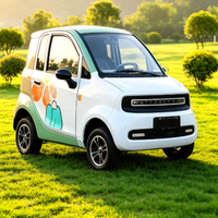 Quadricycle électrique homologué EEC COC L6e avec couleurs personnalisées, climatisation et autonomie de 90 km pour utilisation urbaine en UE