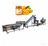 Volledig automatische fruitjamverwerkingslijn met vacuüm kookketel, meng-, vul- en verzegelmachine, 100 kg per uur