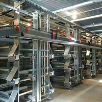 Système complet clé en main pour élevage avicole : Cage automatique pour poules pondeuses avec ligne d'alimentation par plateau pour poulailler préfabriqué à grande échelle