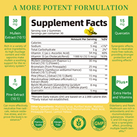 Gummies OEM à l'extrait de molène, complexe 9-en-1, pour adultes, soutien pulmonaire, détoxification, quercétine, bromélaïne, végétalienne, sans gluten, 60 unités
