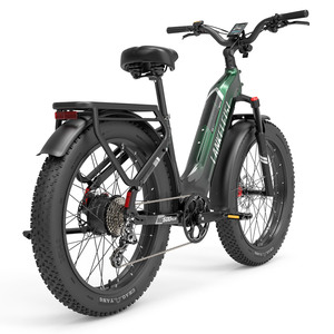 Vélo électrique hybride EU Lankeleisi MG600 PLUS 26 pouces en aluminium avec batterie lithium-ion 20Ah 48V et écran central - Product Image 3