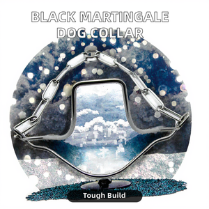 <span class=keywords><strong>Collar</strong></span> de cadena de estimulación de entrenamiento de <span class=keywords><strong>perro</strong></span> Martingale de acero inoxidable ajustable de Herm <span class=keywords><strong>Sprenger</strong></span> Factory negro para uso de mascotas al aire libre - Product Image 2