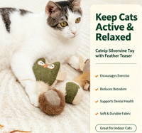 Bâtonnets à mâcher en plumes de catnip et de silvervine naturels de marque, jouets dentaires pour chats pour l'auto-entretenissement des chatons d'intérieur