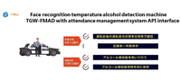 TGW — testeur d'alcoolémie japonais, avec reconnaissance faciale, mesure de température, original
