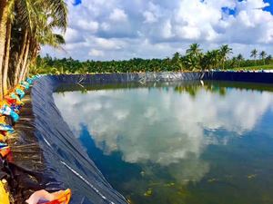 Revestimiento de piscina de <span class=keywords><strong>polietileno</strong></span> de material nuevo 100% de alta resistencia a la tracción, revestimiento de estanque de piscicultura de Color negro con tratamiento UV - Product Image 4