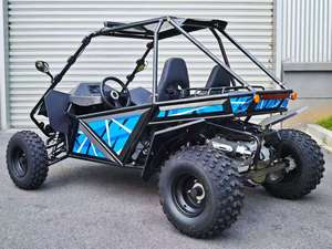Buggy de Playa Todoterreno de 200cc y 4 Tiempos, Go Kart, Buggy Divertido para Exteriores - Product Image 4