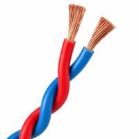 Cable de Señal de Par Trenzado Resistente al Fuego NH-RVS 300/300V, IEC 60331, Cobre Revestido de Mica para Sistemas de Control de Seguridad y Alarma contra Incendios