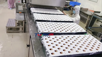 Nouvelle ligne de production de bonbons gélifiés industriels TGmachine TG400S, machine de fabrication de bonbons gélifiés à haute efficacité, 150-600 kg/h