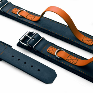 Nuevo collar impermeable para perros de cloruro de polivinilo, personalizable, con un diseño lujoso, adecuado para perros medianos y grandes. - Product Image 3