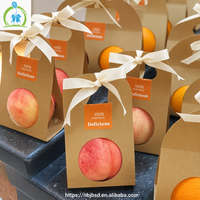 Creatieve boekenstijl fruitverpakkingsset van kraftpapier met handvat voor Kerstavond appel feestdagen cadeautjes