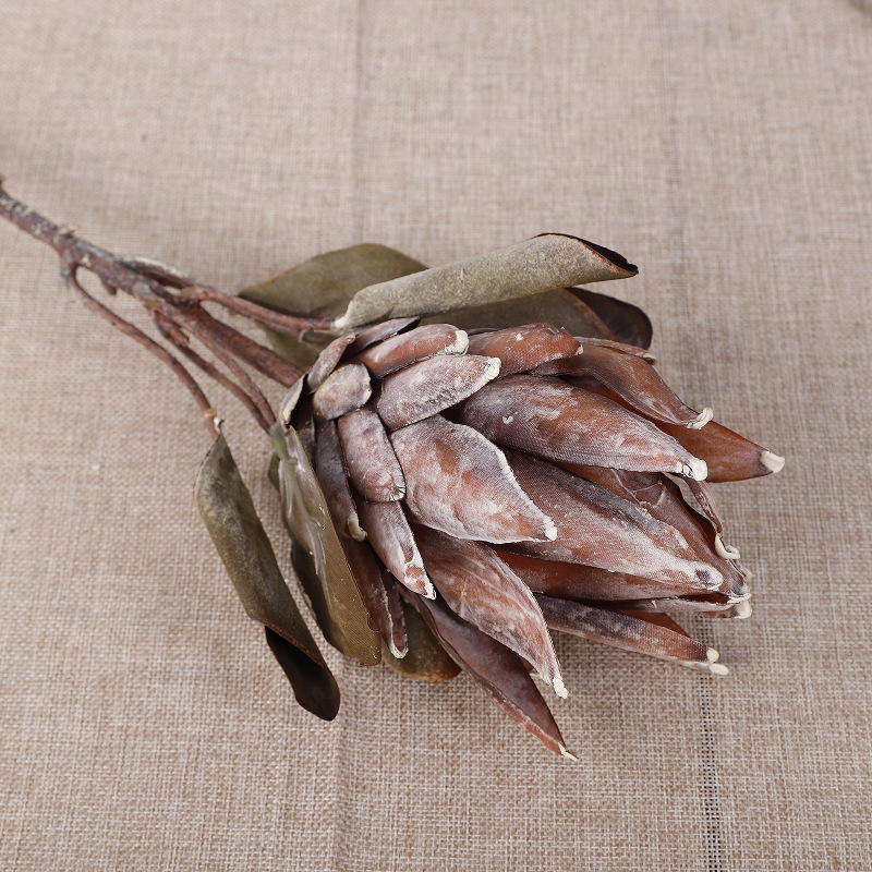 Small King Protea [Coffee]