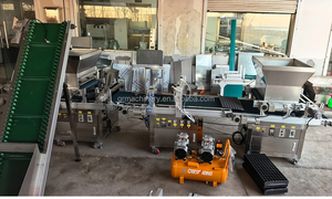 Nouvelle Conception Système d'Auto-Nettoyage Planteur de Micro-Pousses avec 288 Trous Machines de Remplissage de Substrat pour <span class=keywords><strong>Semis</strong></span> - Product Image 4