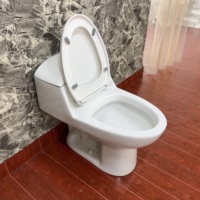 Ensemble WC monobloc en céramique à double chasse, à sortie verticale, design contemporain, pour usage domestique - Vente en gros