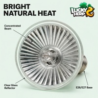 Lampe infrarouge halogène 35W pour terrariums nano, en acrylique, écologique, Luckyherp JX-HL35, lumières chauffantes rouges