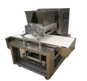 Commerciële Automatische Roterende Vorming Tweekleurig Proces 3-kleuren Mal Biscuit Extrusie Coating Biscuit Machine