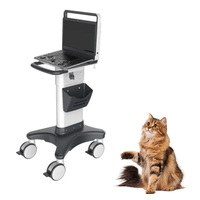 Échographe vétérinaire portable et réutilisable Sonoscape E3V pour la gestation canine et féline – Gestion facile de la reproduction