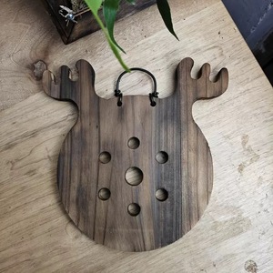 Kit de montage pour fougère à cornes de cerf, panneau mural, support vertical pour plantes, pour orchidées, plantes grimpantes, <span class=keywords><strong>cadre</strong></span> de plantation - Product Image 3