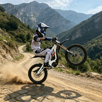 Vélo électrique de course Surron Light Bee X 72V robuste et amélioré avec suspension fluide, acceptant la coopération en gros et les achats en gros