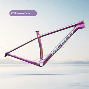 Cadre de vélo de montagne en fibre de carbone Toray T800 avec moulage monocoque, cadre VTT léger 29er pour la course professionnelle - Product Image 6