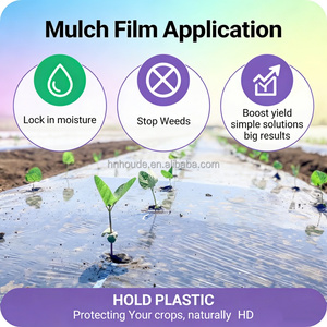 <span class=keywords><strong>Film</strong></span> de paillage agricole noir en plastique, 20 microns - 80 microns, résistant aux UV, en PE, pour l'agriculture maraîchère, service de découpe, marque HD - Vente chaude - Product Image 4