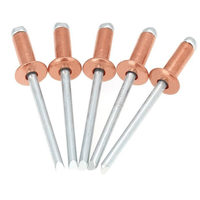 Bouchon en cuivre, fer, métal, acier, noyau en aluminium, mandrin de traction, tête ronde, extrémité ouverte, Rivets Pop store DIN7337