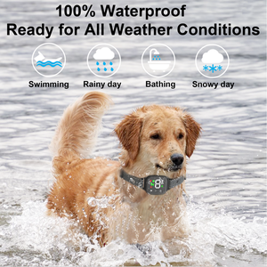 <span class=keywords><strong>Collar</strong></span> Antiladridos para Perros con Pantalla LED a Color de Alta Sensibilidad, Resistente al Agua, <span class=keywords><strong>Collar</strong></span> de Entrenamiento Antiladridos Seguro - Product Image 5