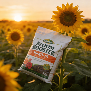 <span class=keywords><strong>Engrais</strong></span> liquide RS Bloom Booster 10-40-10 NPK à haute teneur en phosphore 100% pur pour plantes, fleurs, légumes et arbres fruitiers - Product Image 2