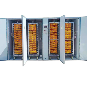 Marque BeYou CE, grand incubateur d'œufs entièrement automatique, couveuse - Product Image 6